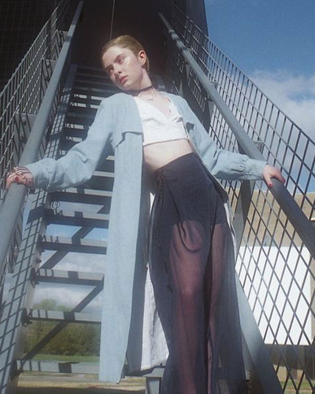 Sheer Pleated Pants